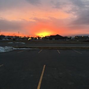 Meet your Posher, Brody